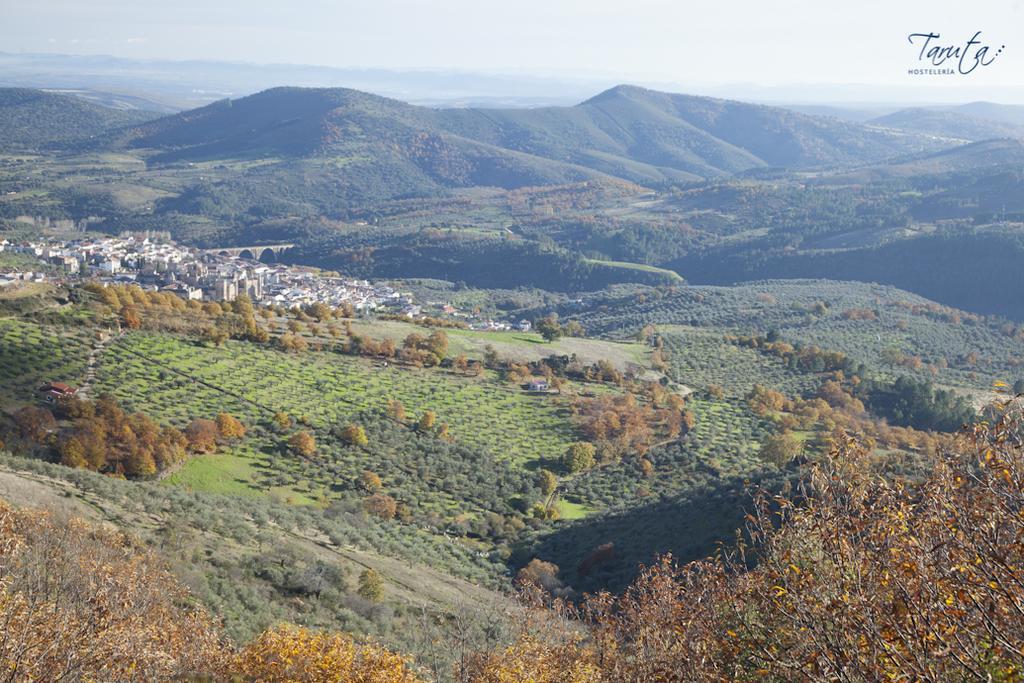 Hostal Alba Taruta Guadalupe  Dış mekan fotoğraf