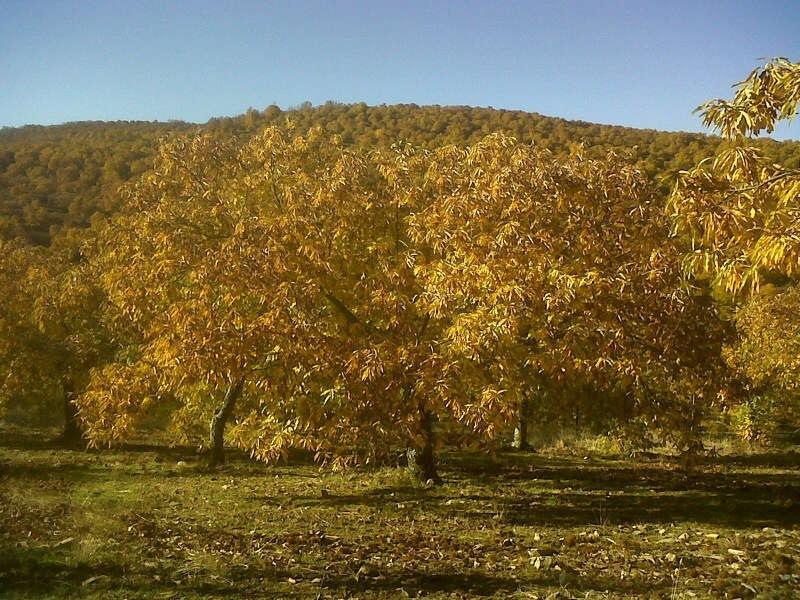 Hostal Alba Taruta Guadalupe  Dış mekan fotoğraf